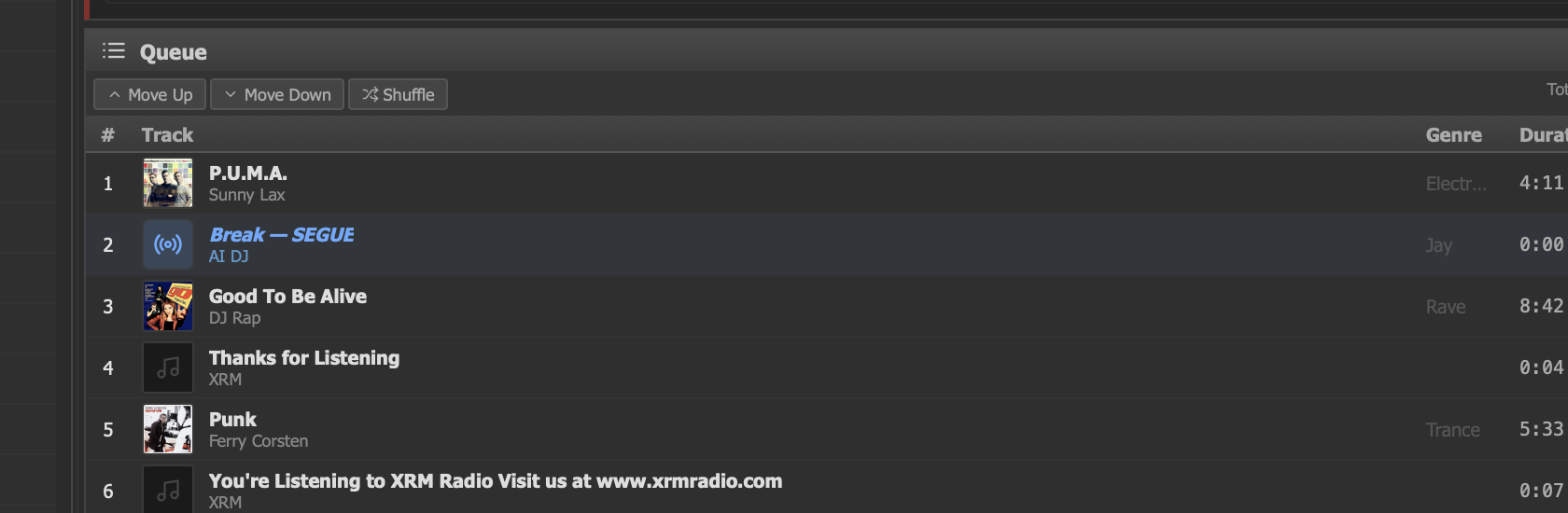 Queue panel showing upcoming tracks
